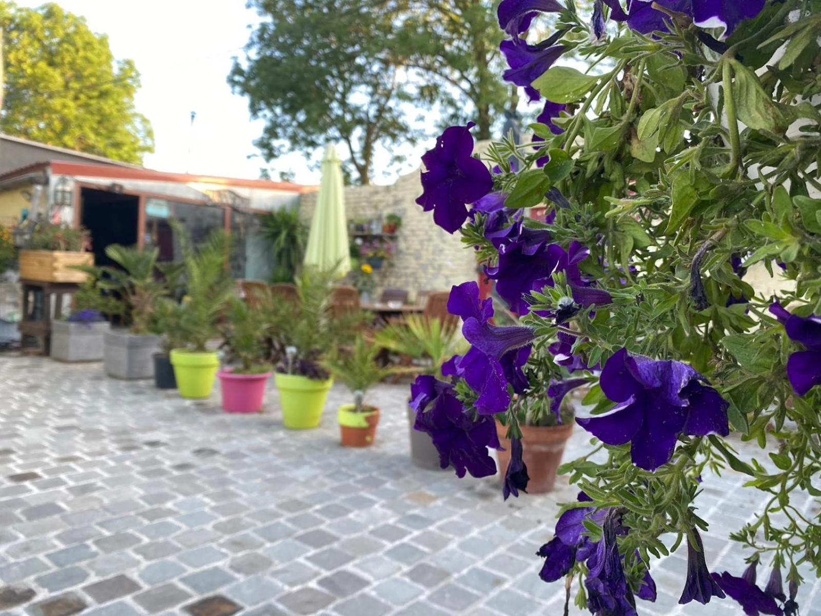Le Relais De La Posterie Guest House Gembloux Luaran gambar